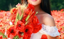 星际之亡灵帝国txt